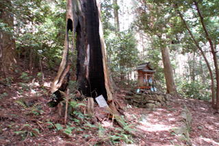 �R�̐_���K