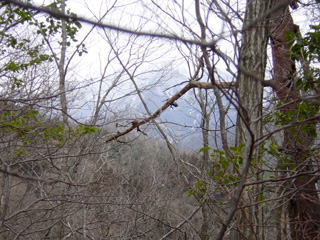 ���������牡�R�x