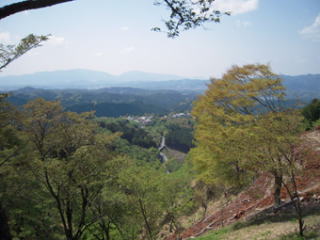 ̂ȂgR