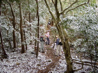 ��̔�����