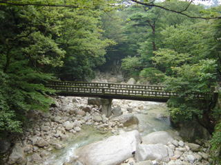 ���m�R����