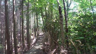 湯屋谷から茶宗明神社