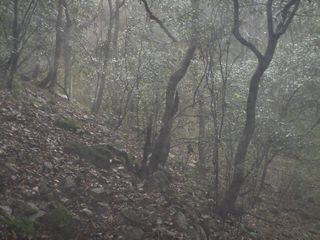 �J�̒��ŋx�e