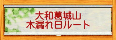 大和葛城山 木漏れ日ルート