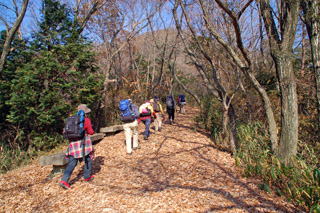 ���x����Y�x��